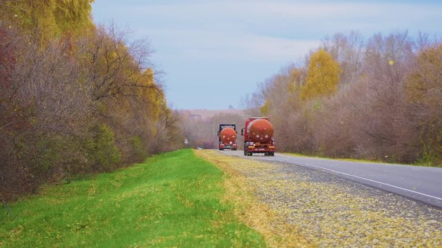 Red trucks roll down autumn road. Bare trees line both sides of the road. Yellow leaves scatter across the grass. Drivers move forward, unaware of their surroundings