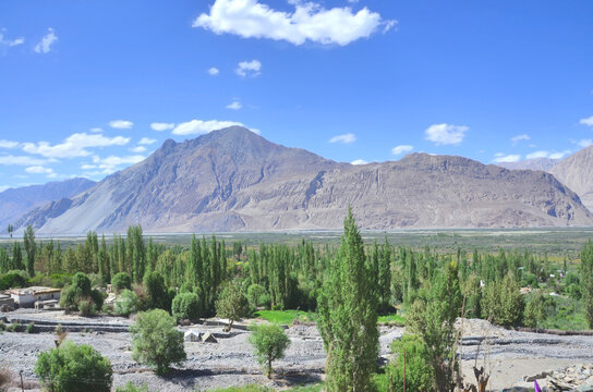 Diskit Monastery also known as Deskit Gompa or Diskit Gompa  - the oldest and largest Buddhist monastery  in the Nubra Valley of Ladakh, India.