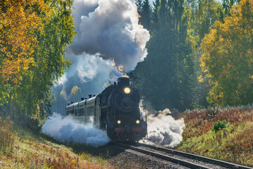 Retro steam train moves in the autumn forest.  © serjiob74