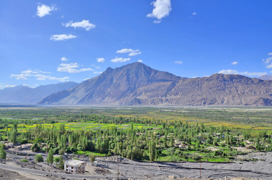 Diskit Monastery also known as Deskit Gompa or Diskit Gompa  - the oldest and largest Buddhist monastery  in the Nubra Valley of Ladakh, India.