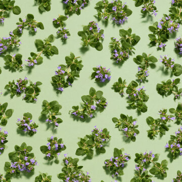 Seamless repeat pattern, tiny thyme leaves and micro purple blossoms, muted pale moss pastel background, flat minimalist graphic,