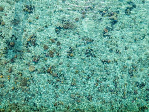 Aerial view of a vibrant coral reef with diverse marine life and clear turquoise water in Karimunjawa, Central Java, Indonesia.