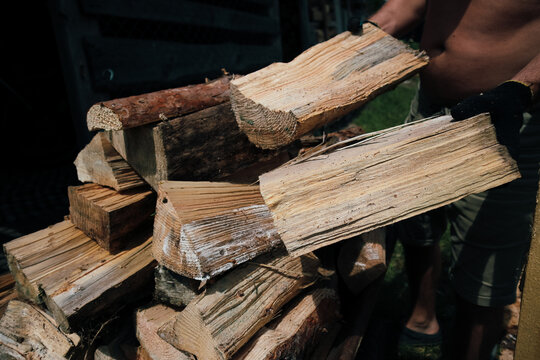 Man loading split firewood into wheelbarrow for winter heating preparation and country house yard work concept