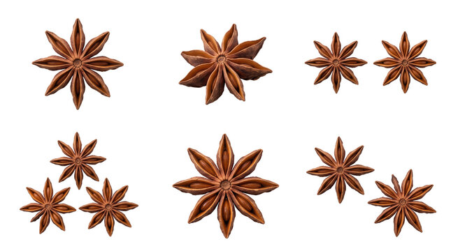 Collection of dried star anise spice pods arranged in a group on a plain light gray background, surface isolated on, a transparent background