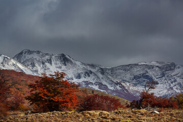 Fototapeta premium Autumn in mountains