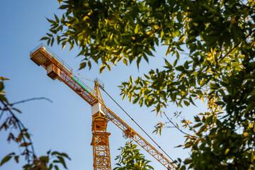 Industrial construction crane framed by green tree branches, eco friendly urban development and sustainable building trend © Marya