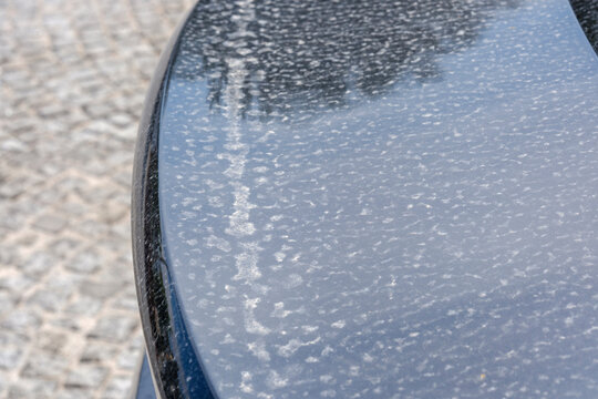 Close up of dirty black car roof covered in dried dust spots after muddy rain illustrating urban vehicle care and atmospheric particulate pollution