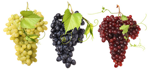Fototapeta premium Grapes of different varieties against transparent background, set