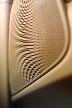 Vehicle sound system speaker panel on luxury car door interior illustrating acoustic engineering and ergonomic design trends in passenger automobile manufacturing