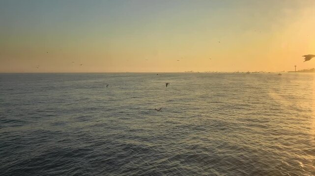 Ocean view at sunset with distant boats and birds flying in the sky