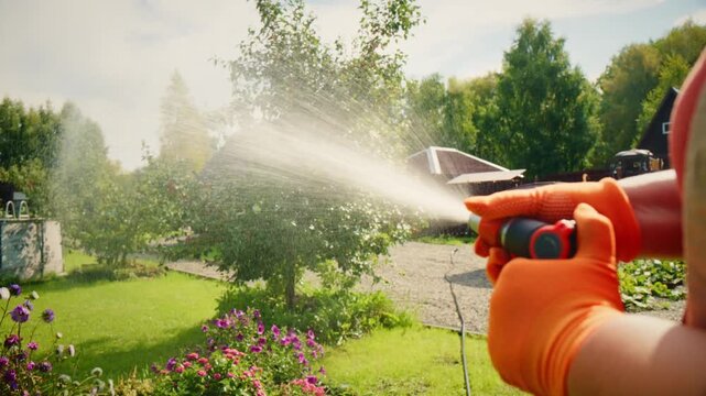 Gardener sprays plants with a hose in a sunny backyard. Orange gloves grip a watering nozzle, misting foliage. Green lawn and blooming flowers frame the garden scene. Person focuses on watering