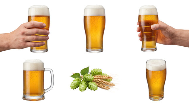 Collection of beer glasses with golden lager, wheat ears, and green hops held by human hands for pub menu isolated on a transparent background