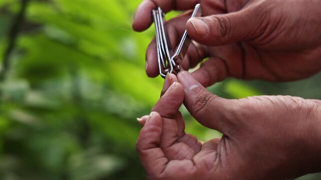 Nail Cutting Close-Up, Personal Grooming & Hygiene | 4K Slow Motion Footage