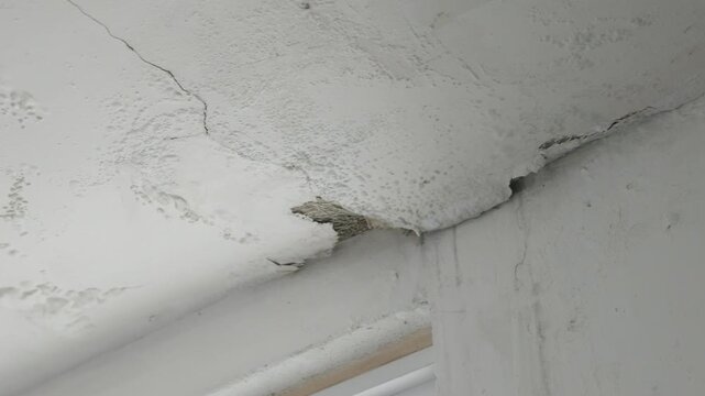 Close-up view of a deteriorating ceiling with cracked and peeling paint, exposed fiberglass insulation, and visible water damage, illustrating building maintenance and structural deterioration.