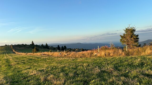 P&acirc;turage d'altitude et sapin isol&eacute; sous un ciel bleu du soir