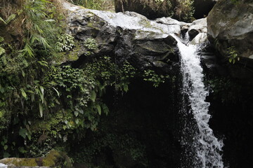 A beautiful natural waterfall flowing over dark volcanic rocks in a lush tropical forest.  © Harseto