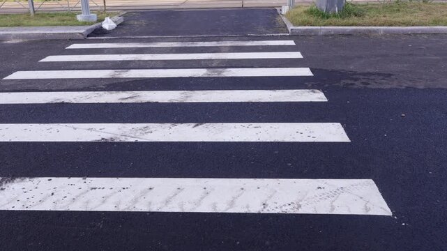 Two parallel white rectangular stripes form part of a pedestrian crosswalk on dark asphalt
