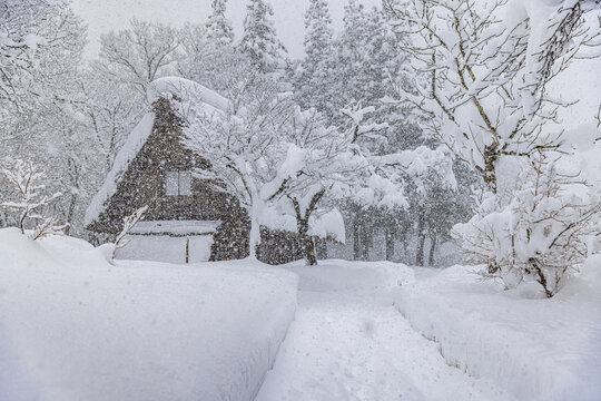 岐阜県　冬の世界遺産 白川郷の雪景色