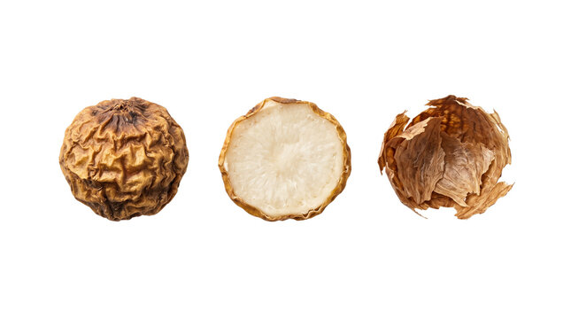 Maca root dry, sliced, and empty peel isolated on transparent background