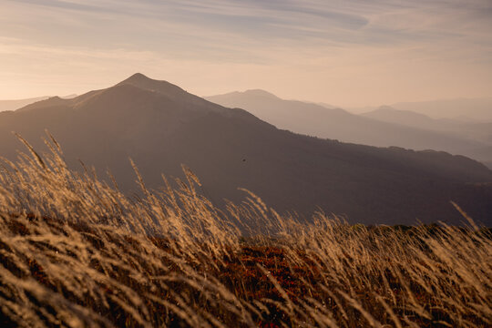 Połonina Caryńska at autumn sunrise in Bieszczady
