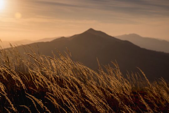 Połonina Caryńska at autumn sunrise in Bieszczady
