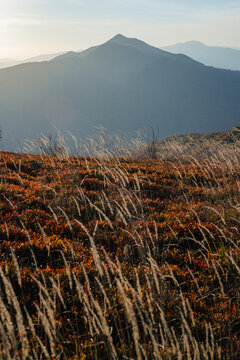 Połonina Caryńska at autumn sunrise in Bieszczady
