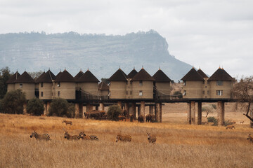 Safari lodge on stilts above a waterhole with elephants and zebras drinking, Kenya © Anna