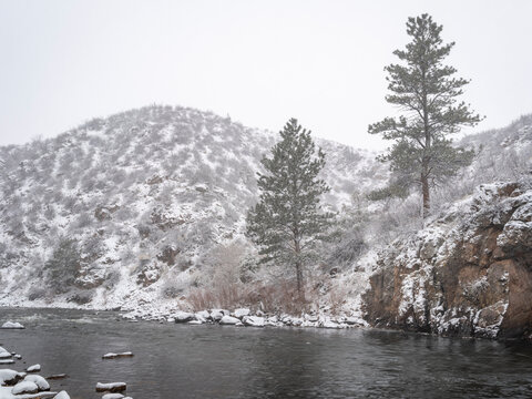 mountain river in heavy spring snowstorm - Poudre River in northern Colorado