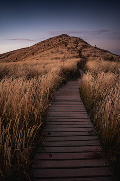 Hiking trail between Halicz and Rozsypaniec at sunset
