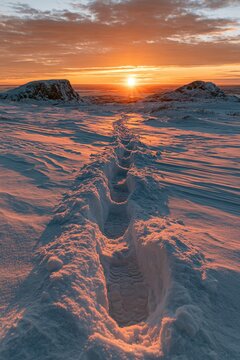 Sunset over a snowy landscape with footprints leading towards the horizon