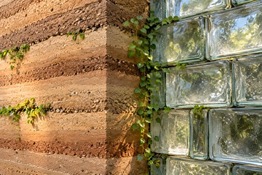 Rammed earth wall and glass brick facade with green climbing ivy vines.