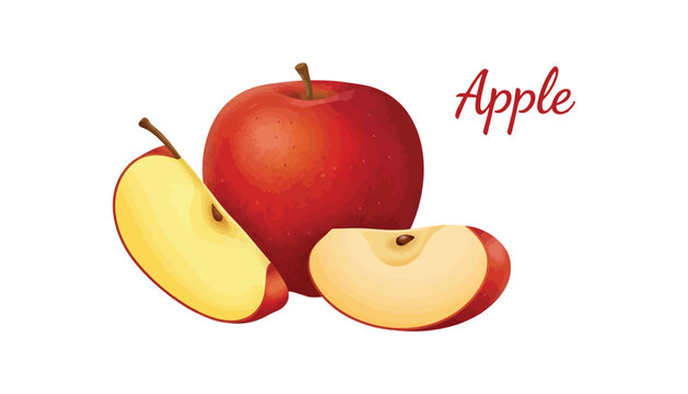 Vector illustration of a fresh realistic red apple with two cut slices showcasing core details and decorative text