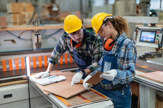 During woodworking, a carpenter inspects plywood with her male colleague using a tape measure at the wood workshop panel saw.
