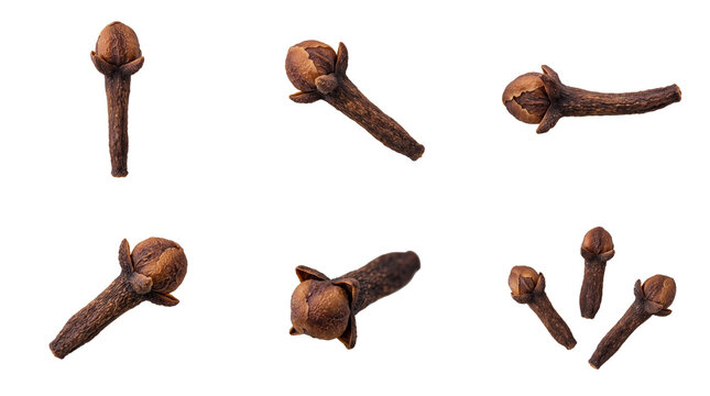 Collection of dried whole clove spice buds arranged in various positions and angles on a light gray surface isolated on a transparent background