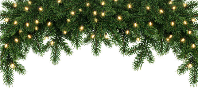 Lush green christmas fir branches with isolated on transparent png
