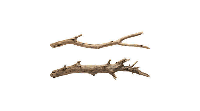 Two weathered driftwood branches isolated on a transparent background