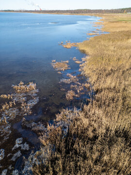 Aerial view of a frosty shore with dry reeds along the water edge and thin ice patches, Oulu, North Ostrobothnia, Finland.