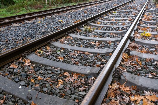 Railway tracks surrounded by leaves on a cool autumn day in a rural area