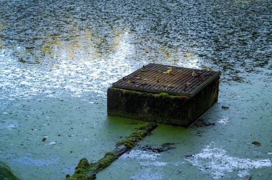 Drain cover on a concrete block in a pond covered with green algae in a park during the day