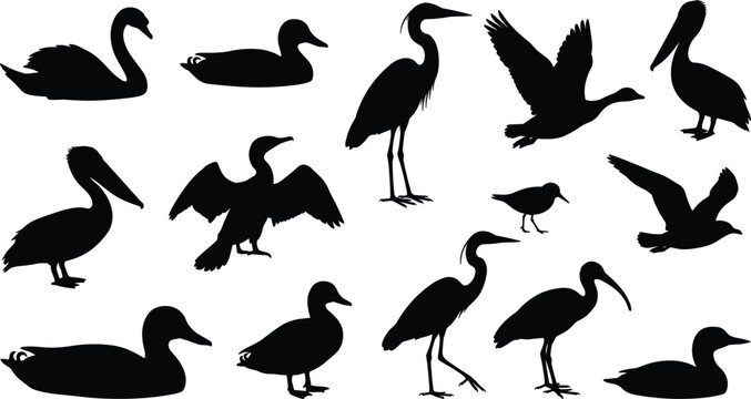 Black waterfowl silhouette vector set containing swan duck heron pelican cormorant ibis seagull lake river wildlife icons