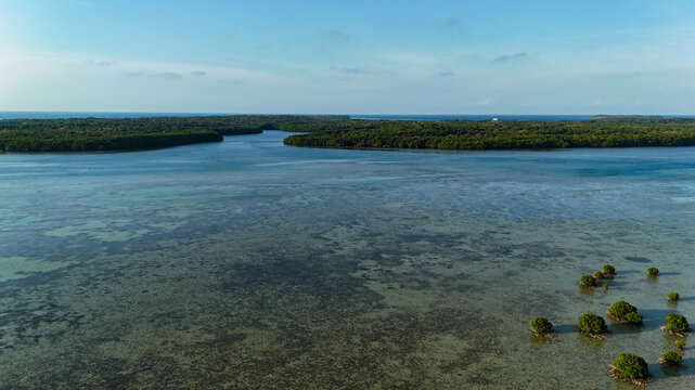 Aerial view of the mangrove forest and observation tower surrounded by shallow turquoise waters in Karimunjawa, Central Java, Indonesia.