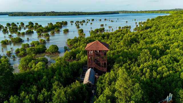 Aerial view of the wooden observation tower nestled within the lush green mangrove forest of Kemujan, surrounded by calm coastal waters in Karimunjawa, Central Java, Indonesia.