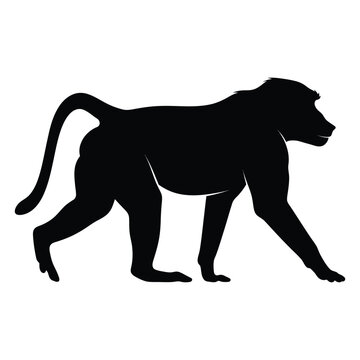 Black silhouette of a baboon walking isolated on white background for