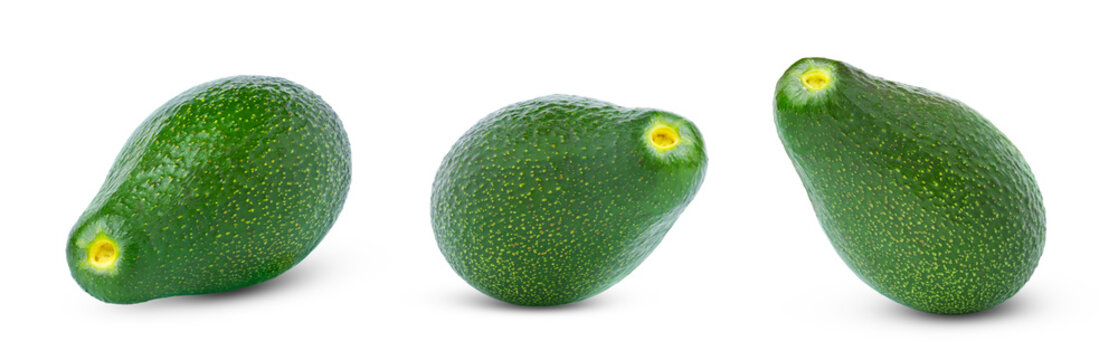 Green fuerte sort avocado isolated. Whole avocado isolate on white background set.