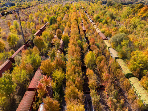 Aerial view of abandoned freight train cars overgrown with autumn foliage and trees in a railway yard in Brasov, Brasov, Romania.