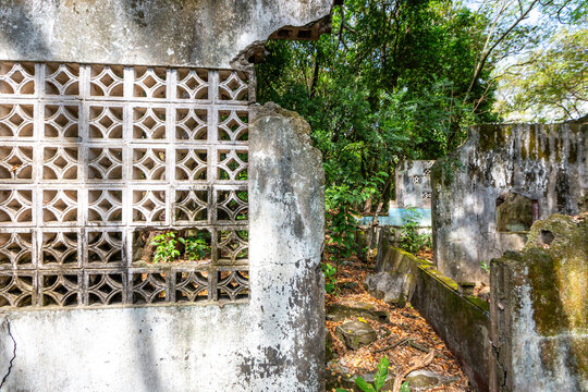 View of the ruins of Armero, featuring weathered concrete breeze blocks and crumbling walls reclaimed by lush tropical vegetation in Armero, Tolima, Colombia.