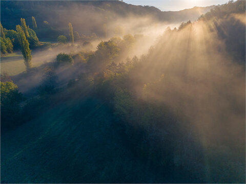 paisaje con brumas y. bancos de nieblas bajas en el bosque a la hora del amanecer