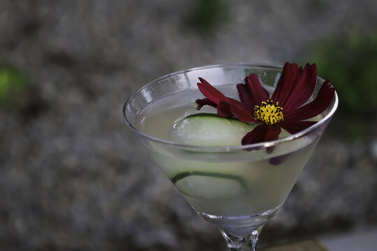 View of a refreshing cocktail garnished with a cucumber slice and a vibrant red flower in a martini glass at Flora Farms, San Jose del Cabo, Baja California Sur, Mexico.