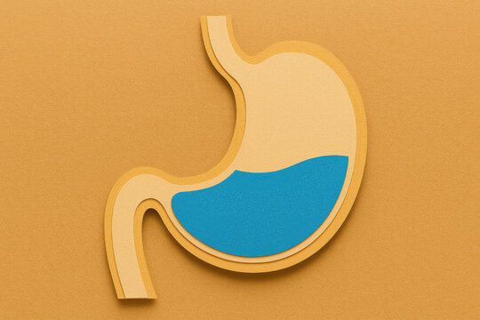 3D paper craft stomach illustration showing blue liquid level inside, representing gastric fullness and digestive health concept on yellow background