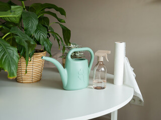 A lush peace lily houseplant stands on a white table alongside a mint watering can and spray bottle. This setup illustrates indoor gardening, plant care routines, and sustainable home wellness. © JULIA